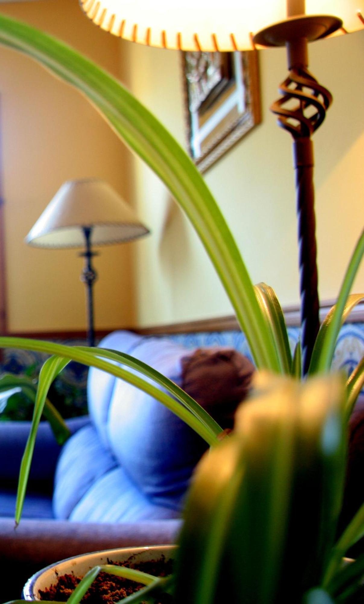 Hostal Casa Barranco Castejón del Puente Εξωτερικό φωτογραφία